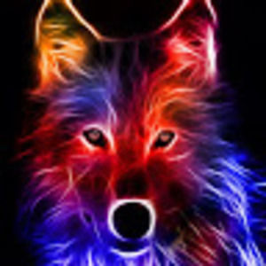 Meet your Posher, Regina